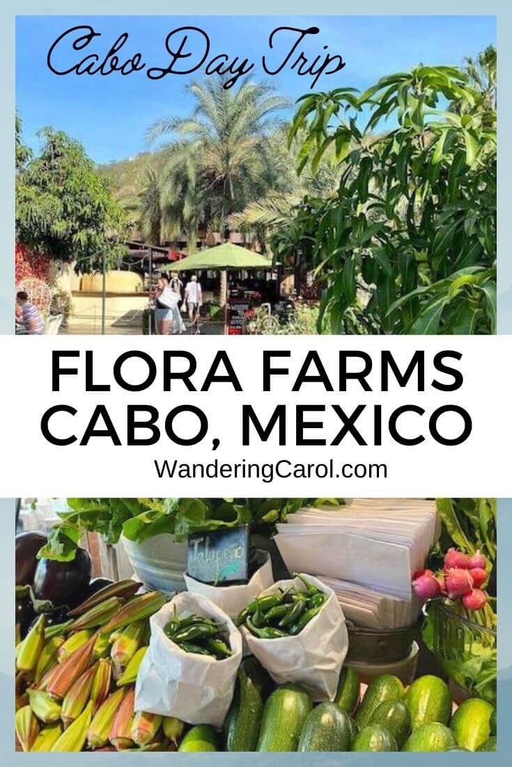 flora farms cabo photo collage