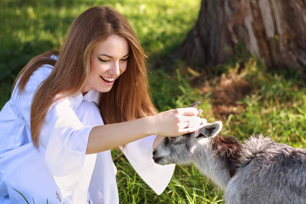 woman playing with a small goat