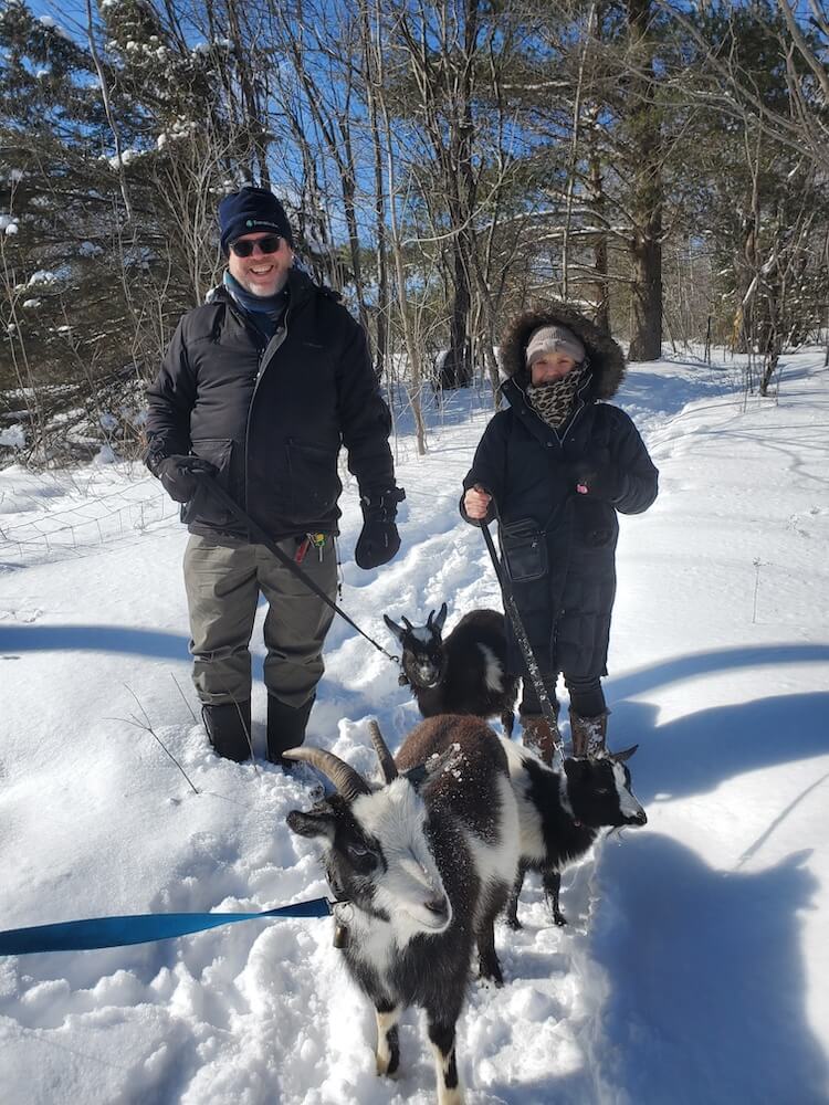 People walking adorable goats on a Muskoka Goat Away experience in the snowy woods