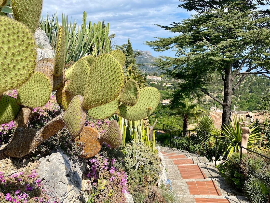 Cacti in the exotic gardens of Eze, a French Riviera town