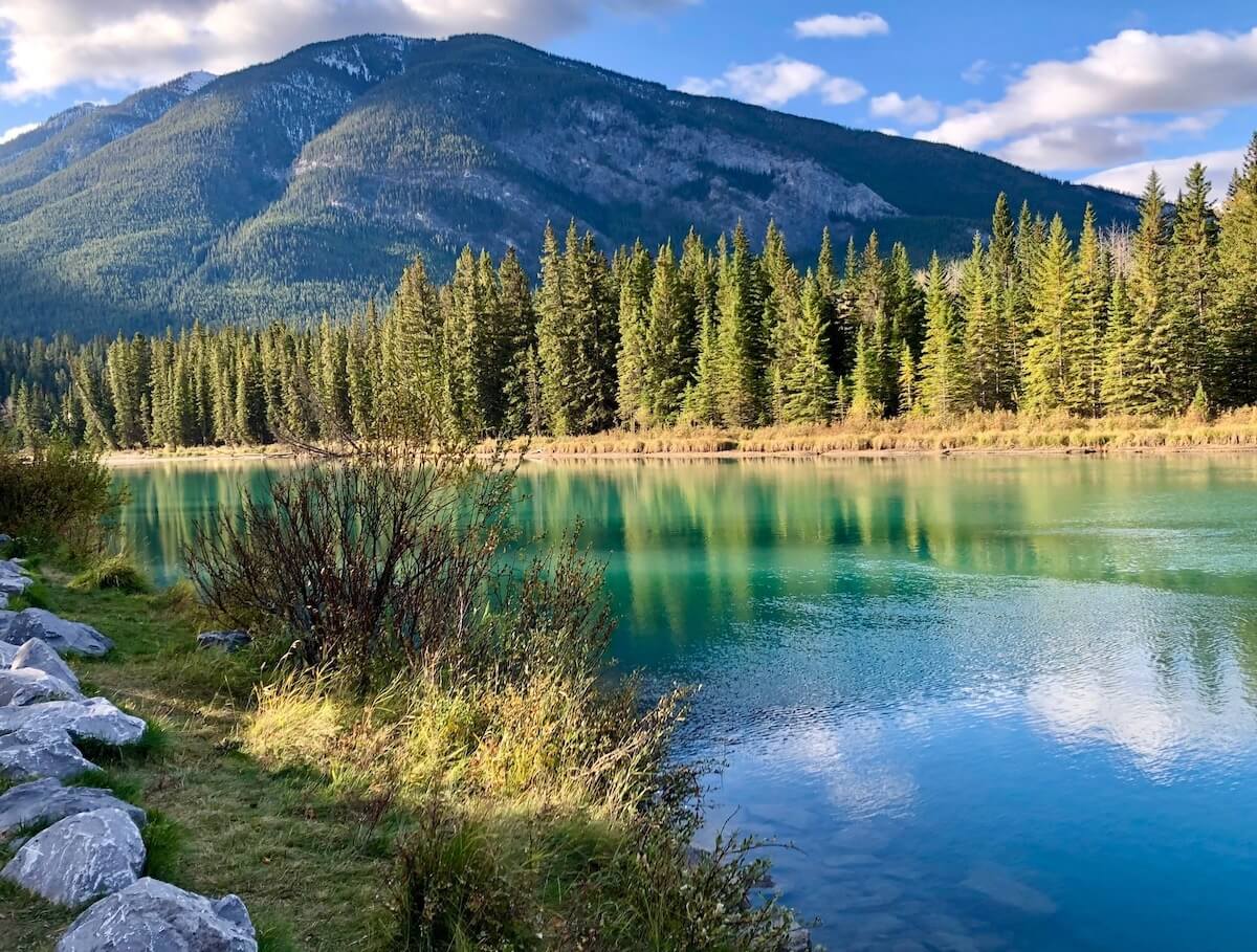 Bow River in Banff in early morning light