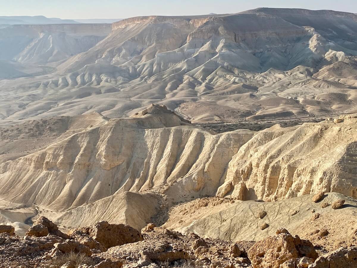 negev desert tours