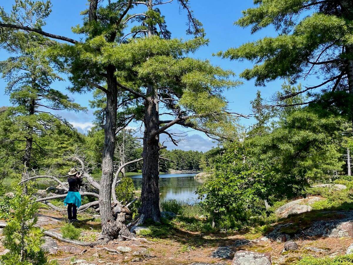 Beautiful Canadian scene of trees and a lake in northern Georgian Bay