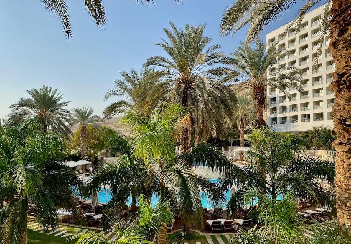 David Dead Sea Spa Resort in Ein Bokek seen through palm trees