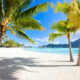 Bora Bora white sand beach with palm trees.