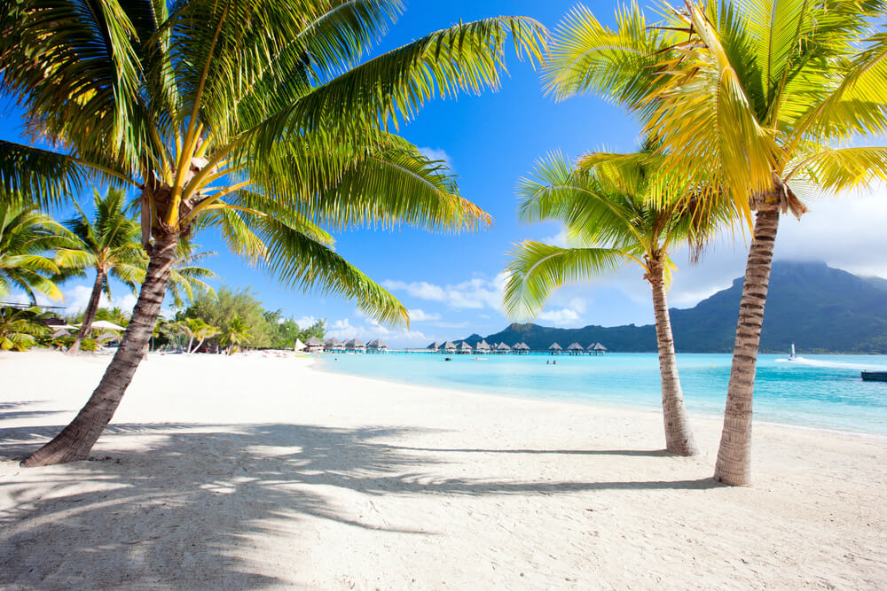 Bora Bora white sand beach with palm trees.