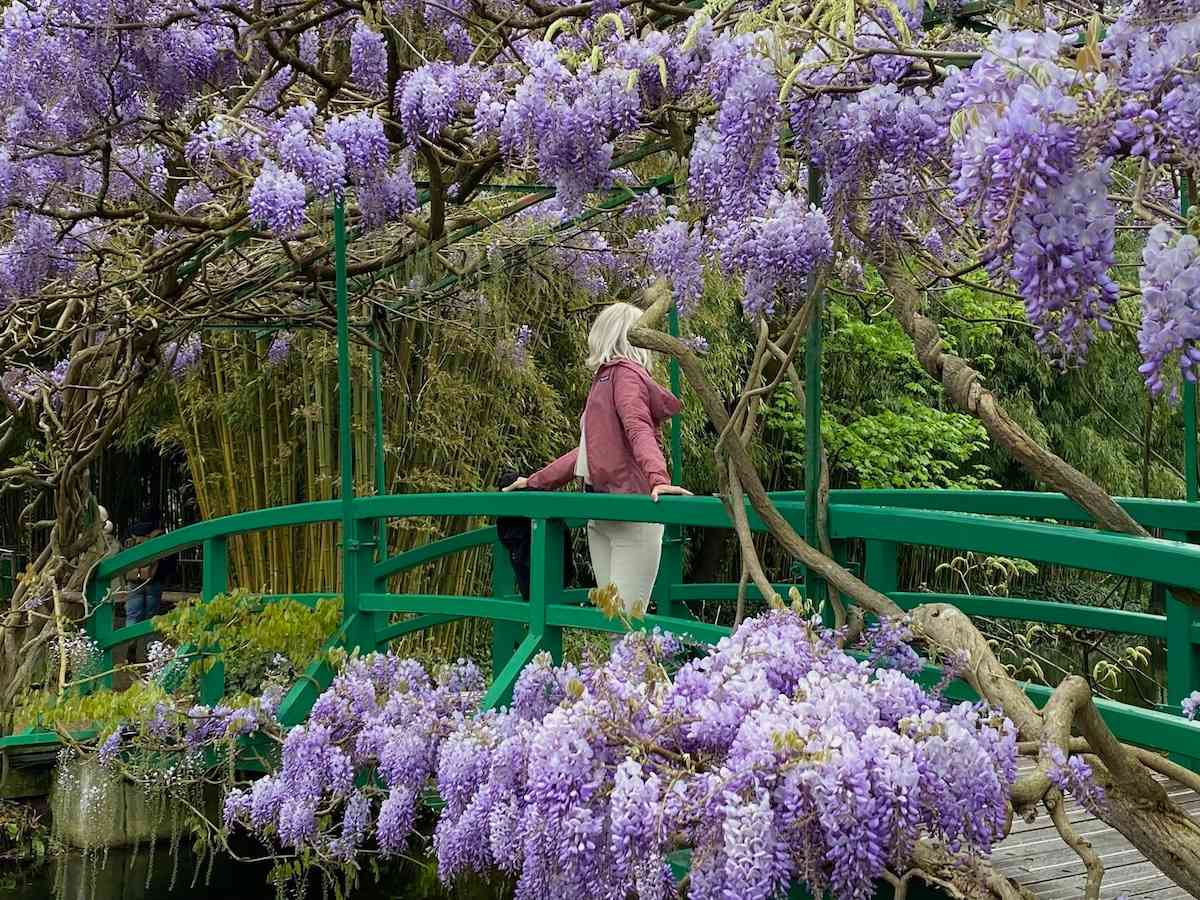 Monet's Garden in Giverny with wisteria